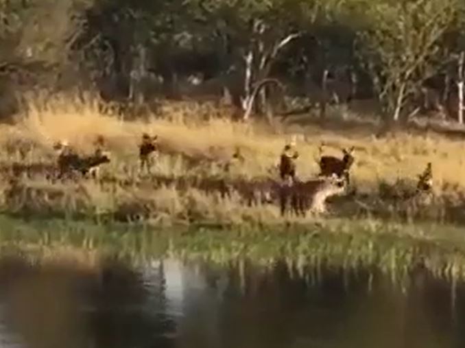 Ảnh cắt từ clip.