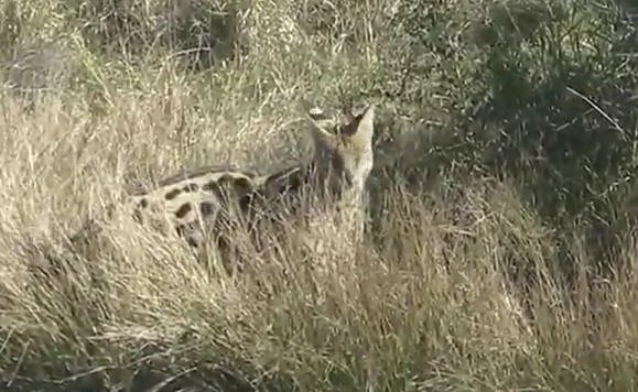 Ảnh cắt từ clip.