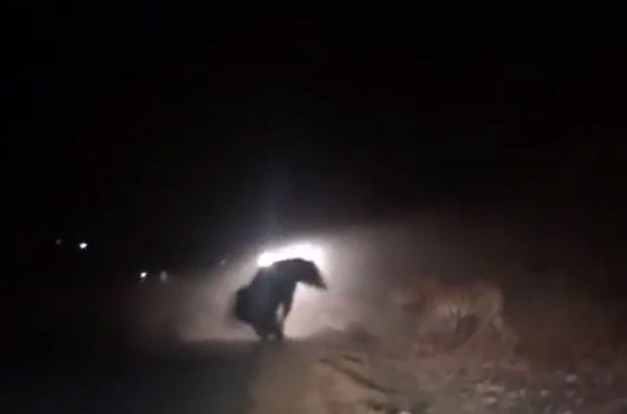 Ảnh cắt từ clip.