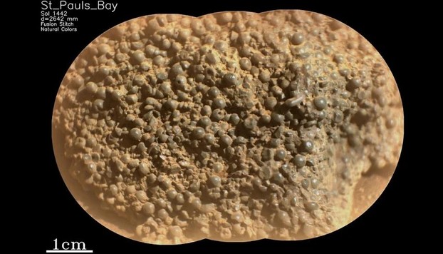 Tảng đá mang "trứng nhện" trông rất nổi bật trong khu vực mà nó đang nằm - Ảnh: NASA