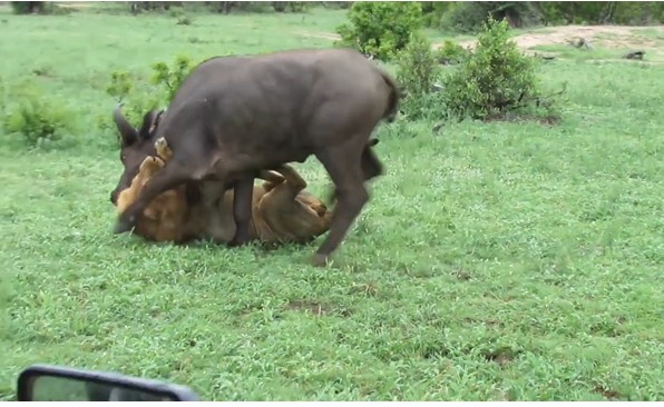 Ảnh cắt từ clip.