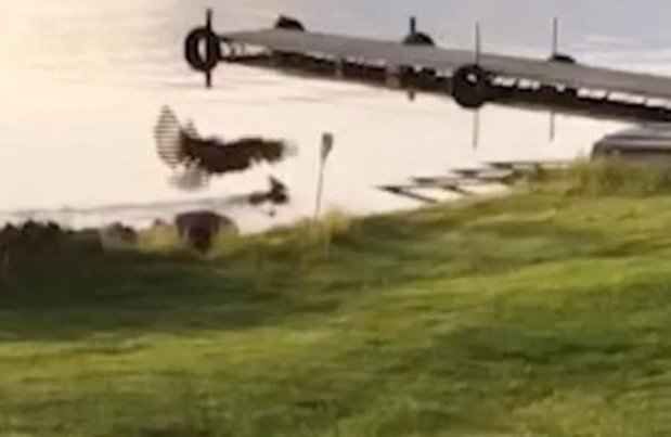 Ảnh cắt từ clip.