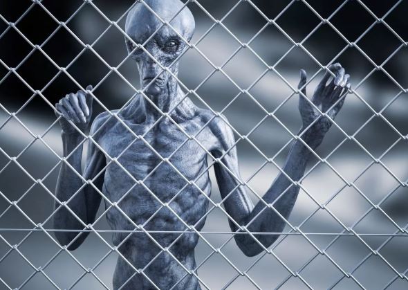 Ảnh: Getty Images/iStockphoto