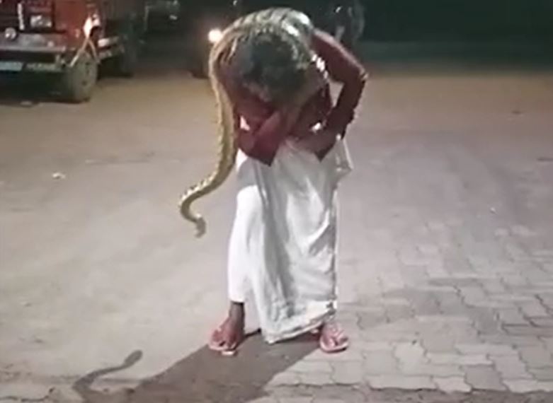 Ảnh cắt từ clip.