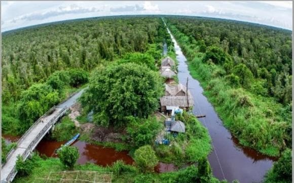 Dòng sông cắt đôi 2 khu rừng của Việt Nam