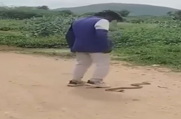 Ảnh cắt từ clip.