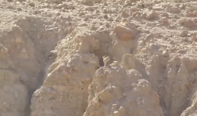 Ảnh cắt từ clip.