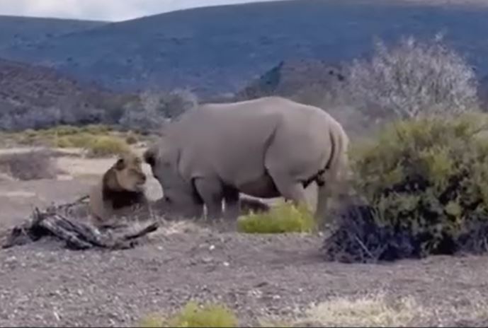 Ảnh cắt từ clip.