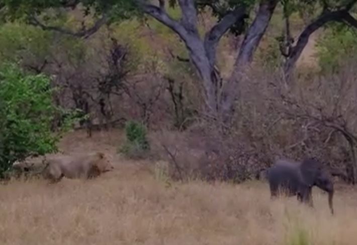 Ảnh cắt từ clip.