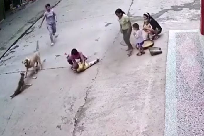 Ảnh cắt từ clip.