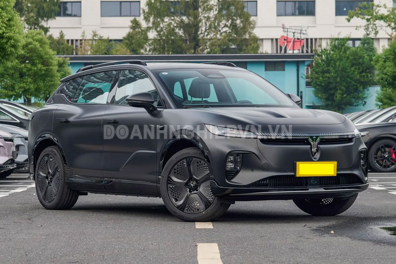 Dongfeng Voyah Zhiyin 2025.