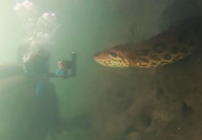 Ảnh cắt từ clip.