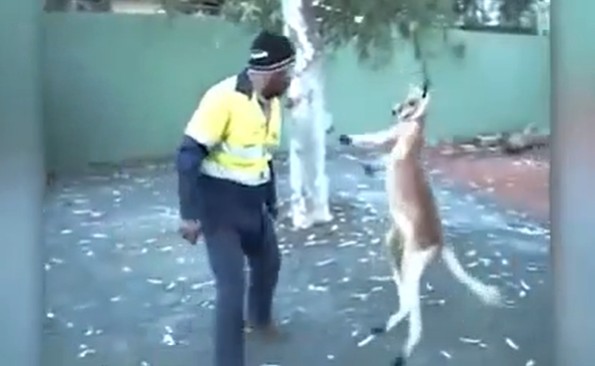 Ảnh cắt từ clip.