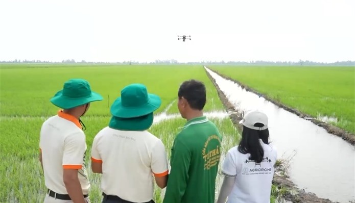 Gạo Việt đắt hàng - Ảnh 2.