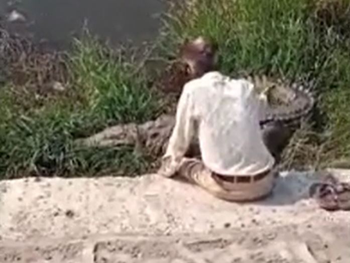 Ảnh cắt từ clip.