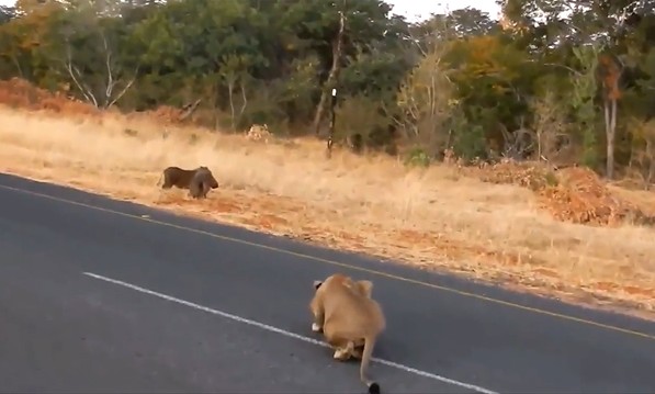 Ảnh cắt từ clip.