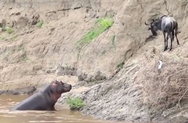 Ảnh cắt từ clip.