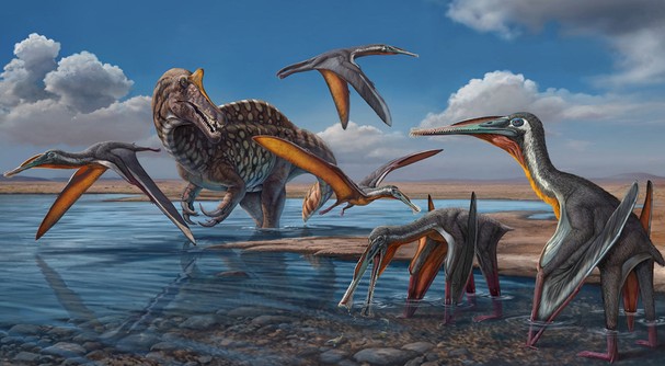 Quái vật bay kỷ Phấn Trắng Garudapterus buffetauti - Ảnh: DinoThaiThai