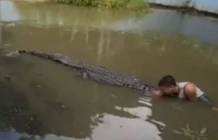 Nam du khách đã phải trả cái giá rất đắt cho việc liều lĩnh chụp hình cạnh cá sấu.