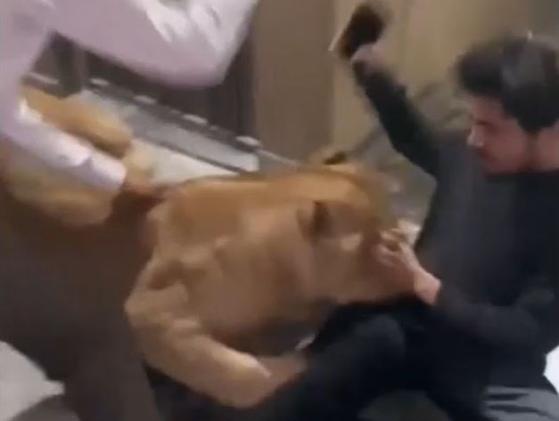 Ảnh cắt từ clip.