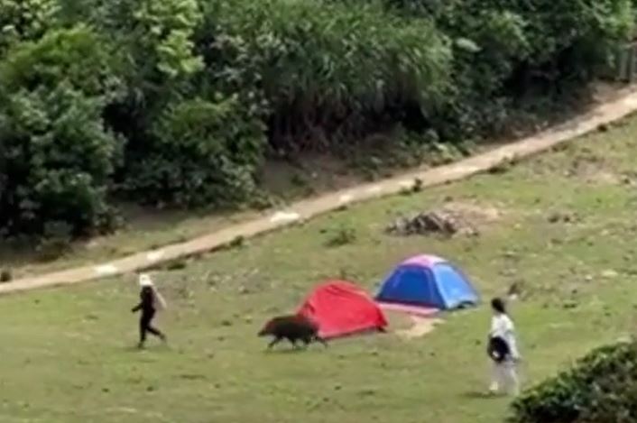 Ảnh cắt từ clip.