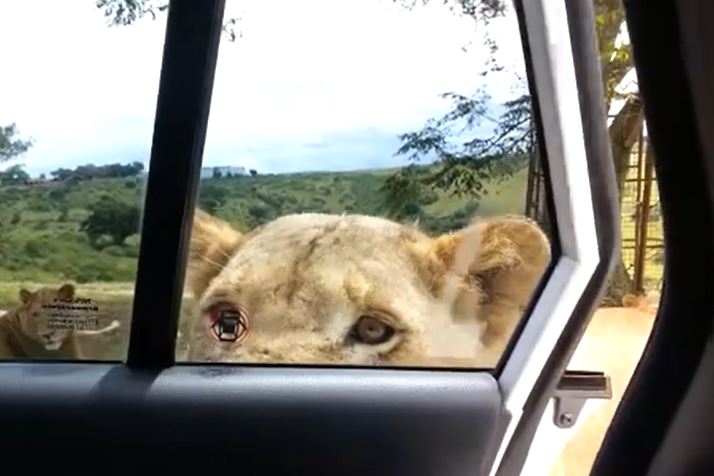 Ảnh cắt từ clip.