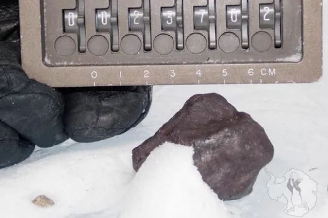 Thành phần hóa học của thiên thạch có thể làm thay đổi hiểu biết của các nhà khoa học về nguồn gốc nước của Trái Đất.