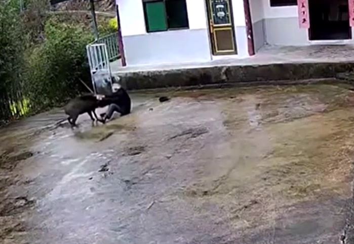 Ảnh cắt từ clip.