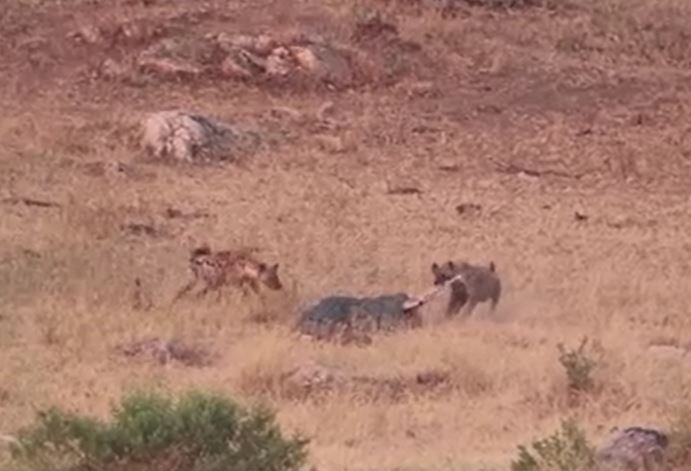 Ảnh cắt từ clip.