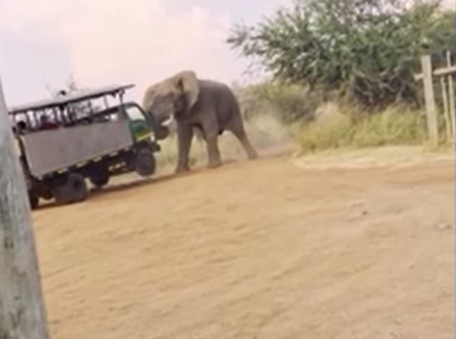 Ảnh cắt từ clip.