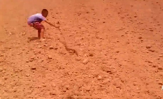 Ảnh cắt từ clip.