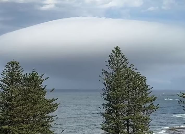 Ảnh cắt từ clip.