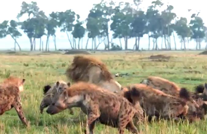 Ảnh cắt từ clip.