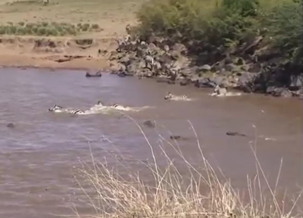 Ảnh cắt từ clip.