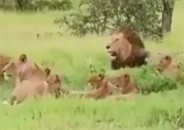 Ảnh cắt từ clip.