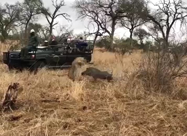 Ảnh cắt từ clip.