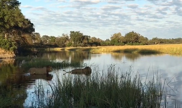 Ảnh cắt từ clip.