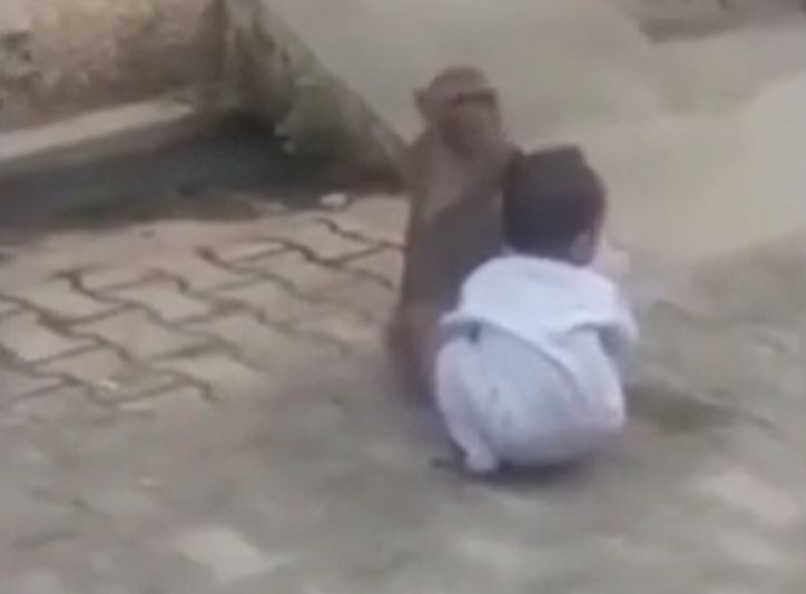 Ảnh cắt từ clip.