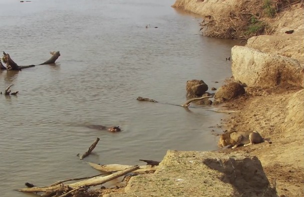 Ảnh cắt từ clip.