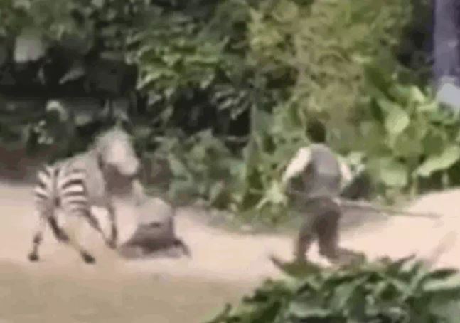 Ảnh cắt từ clip.