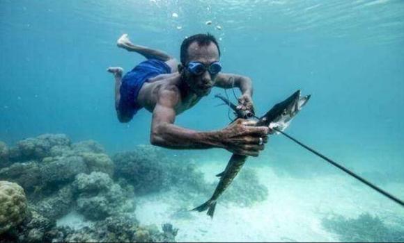 Dân tộc duy nhất không có quốc tịch trên thế giới, họ sống cả đời dưới biển và đôi tai của họ khác với tai của người thường