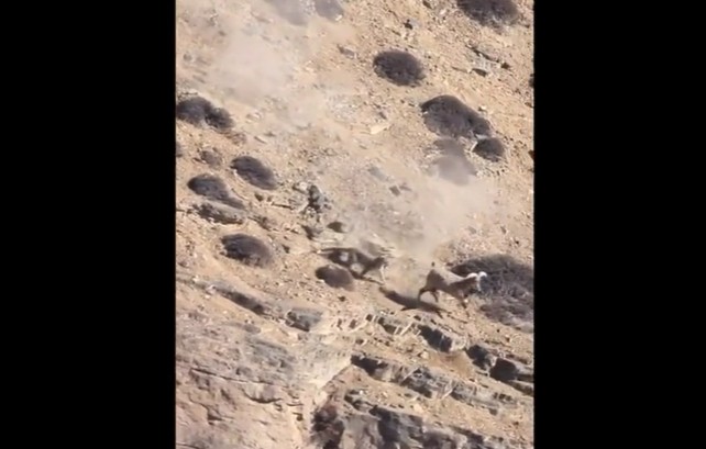 Ảnh cắt từ clip.