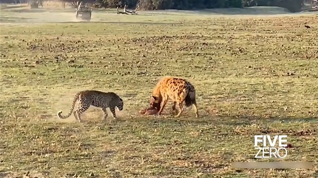 Ảnh cắt từ clip.