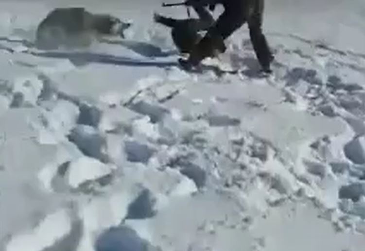 Ảnh cắt từ clip.