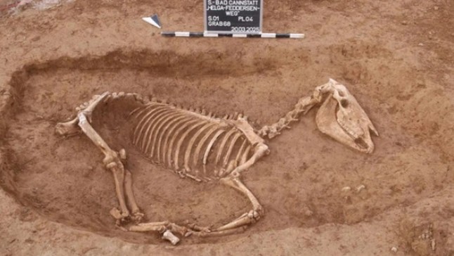 Một ngôi mộ ngựa trong nghĩa trang cổ - Ảnh: - Ảnh: ArchaeoBW/LAD