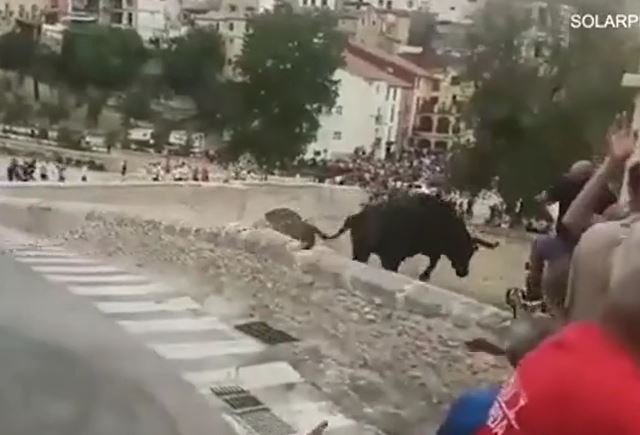 Ảnh cắt từ clip.