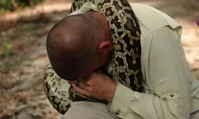 Con trăn tấn công chuyên gia săn rắn.