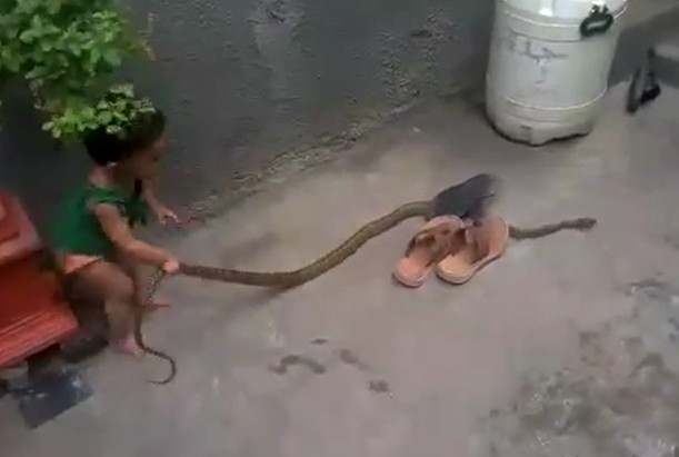 Ảnh cắt từ clip.