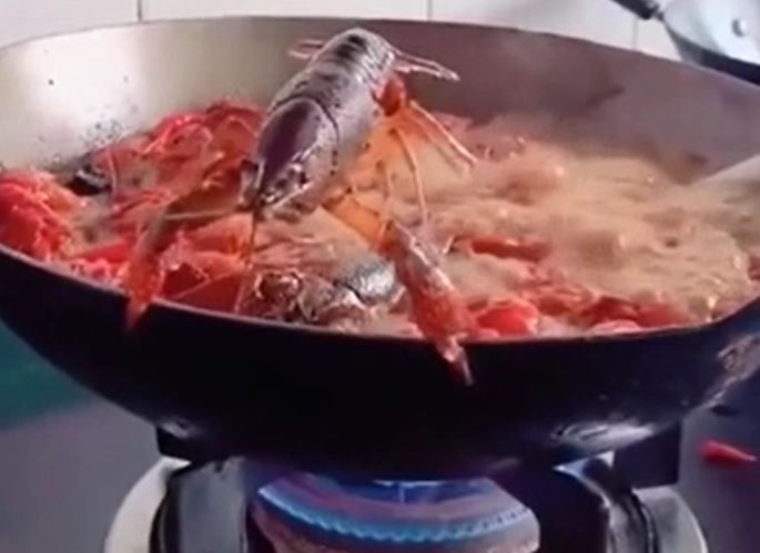 Ảnh cắt từ clip.