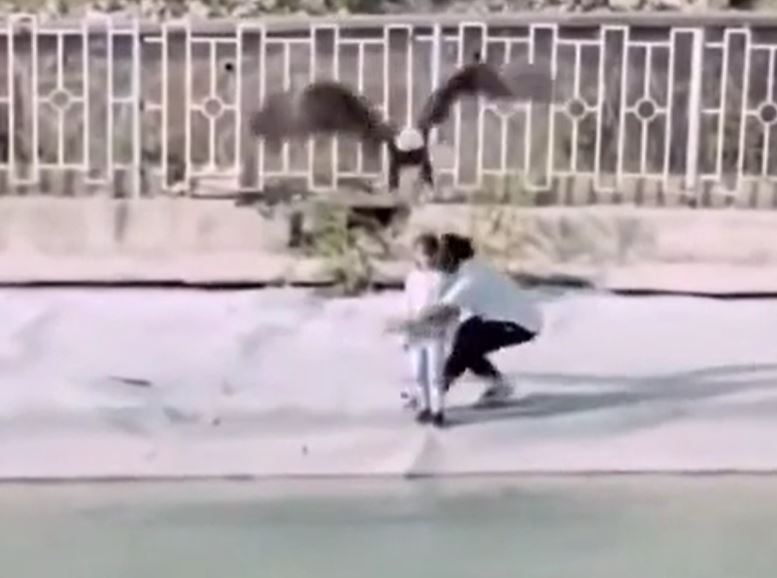 Ảnh cắt từ clip.